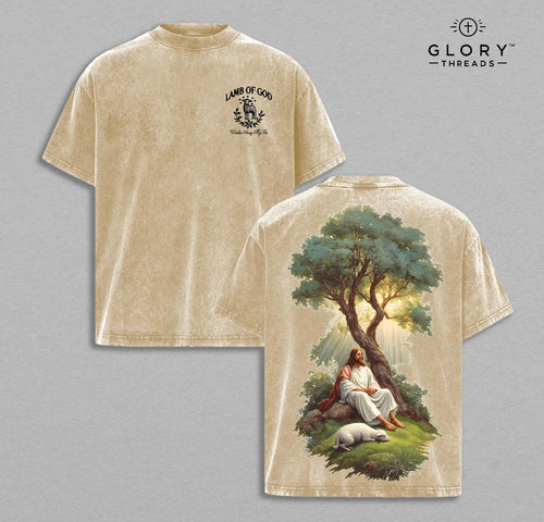 tos-useast5-i-omjb5zjo8w-tx/30bd2289b1c14669ac5ff346a52c26bc